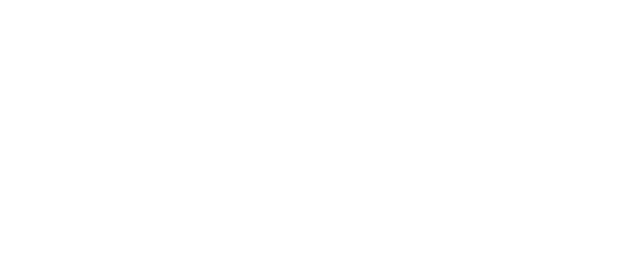 SonqoCat Logo
