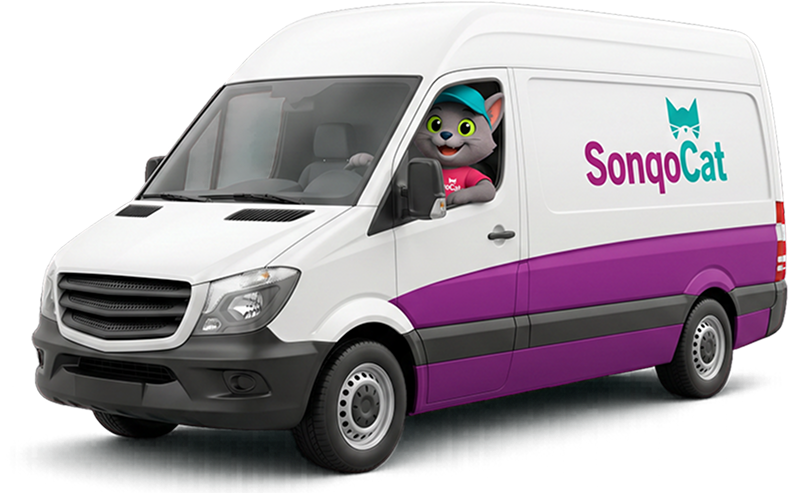 SonqoCat Delivery Miniban
